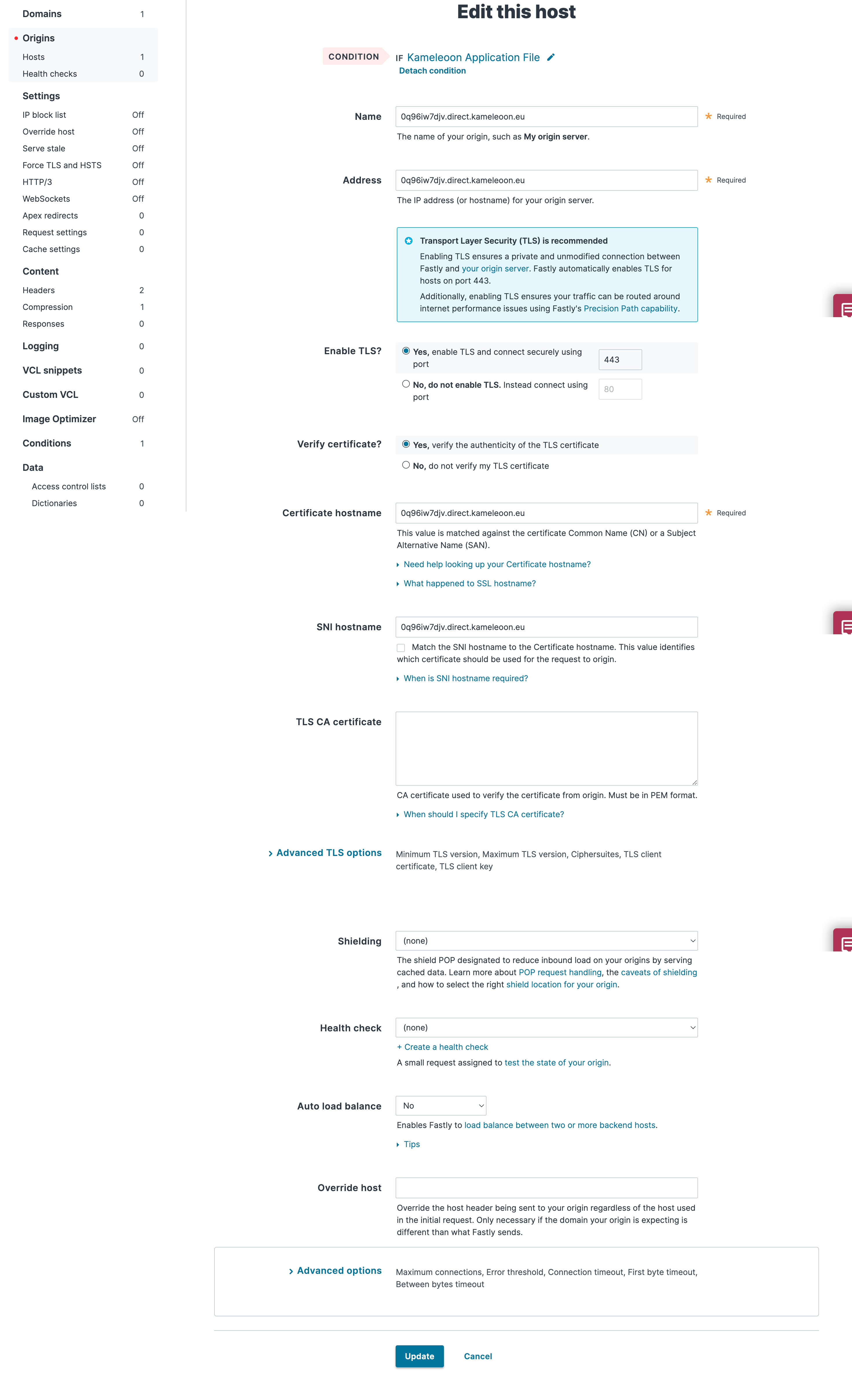 Origin host configuration